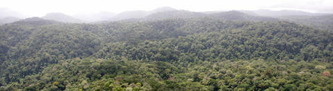 Panorama à l'arrivée sur la mont Itoupé