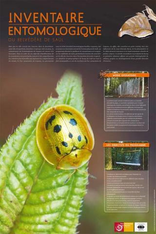 Affiche campagne inventaire Biodiversité Saül